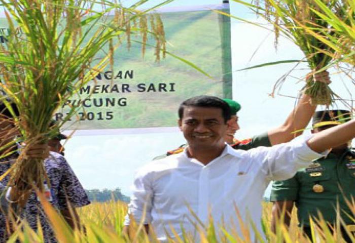 Janji Menteri Amran Dikeluhkan Peternak Sapi